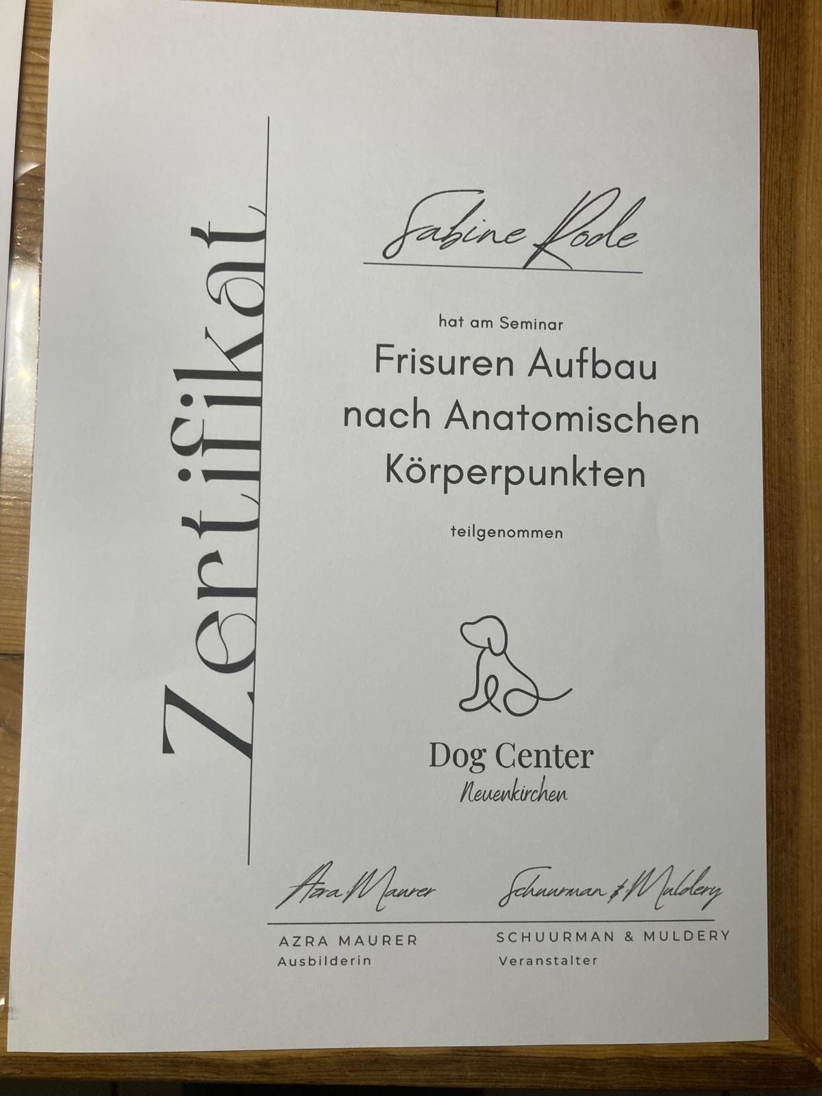 Seminar: Frisuren Aufbau nach anatomischen Körperpunkten