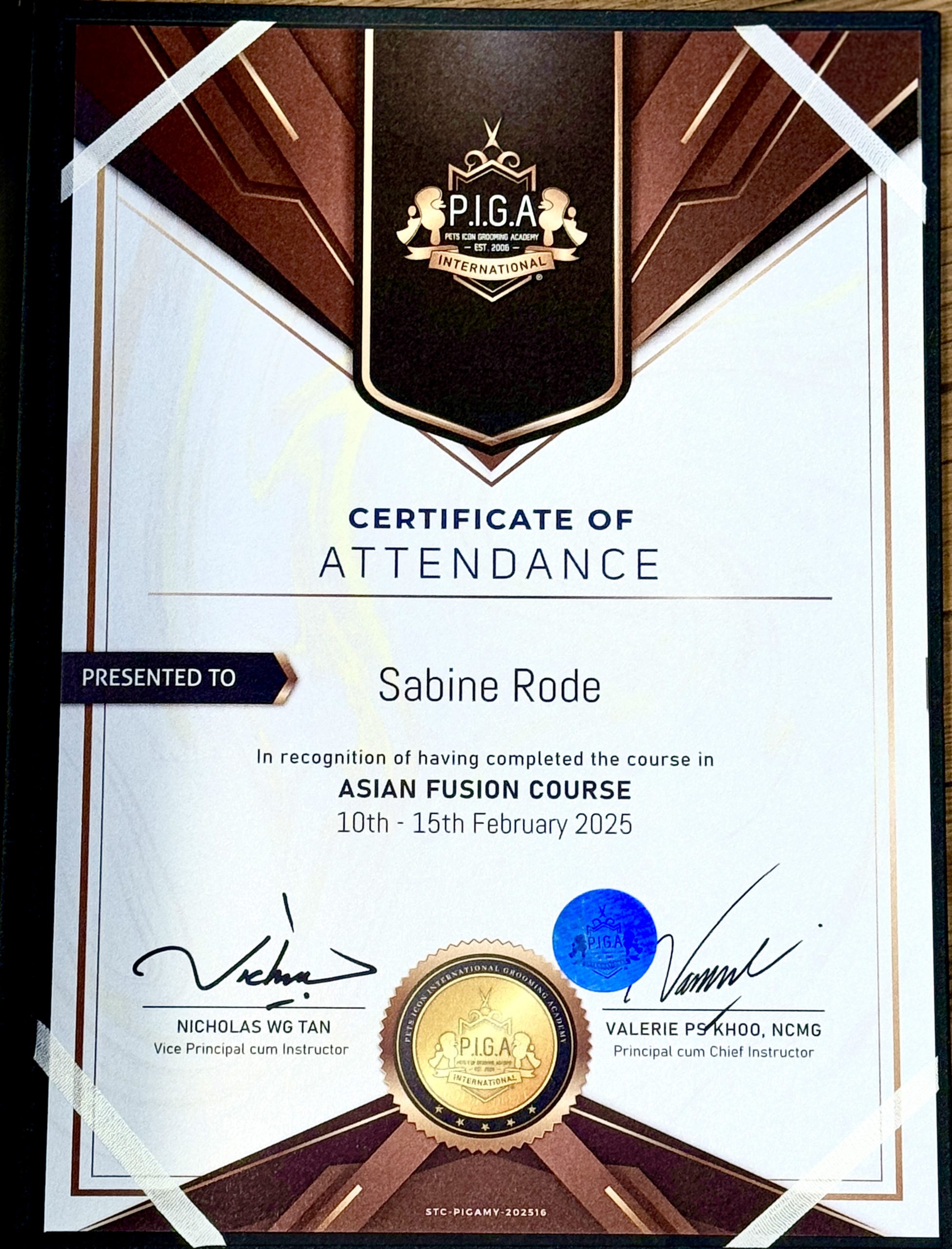 P.I.G.A International – Asian Fusion Grooming