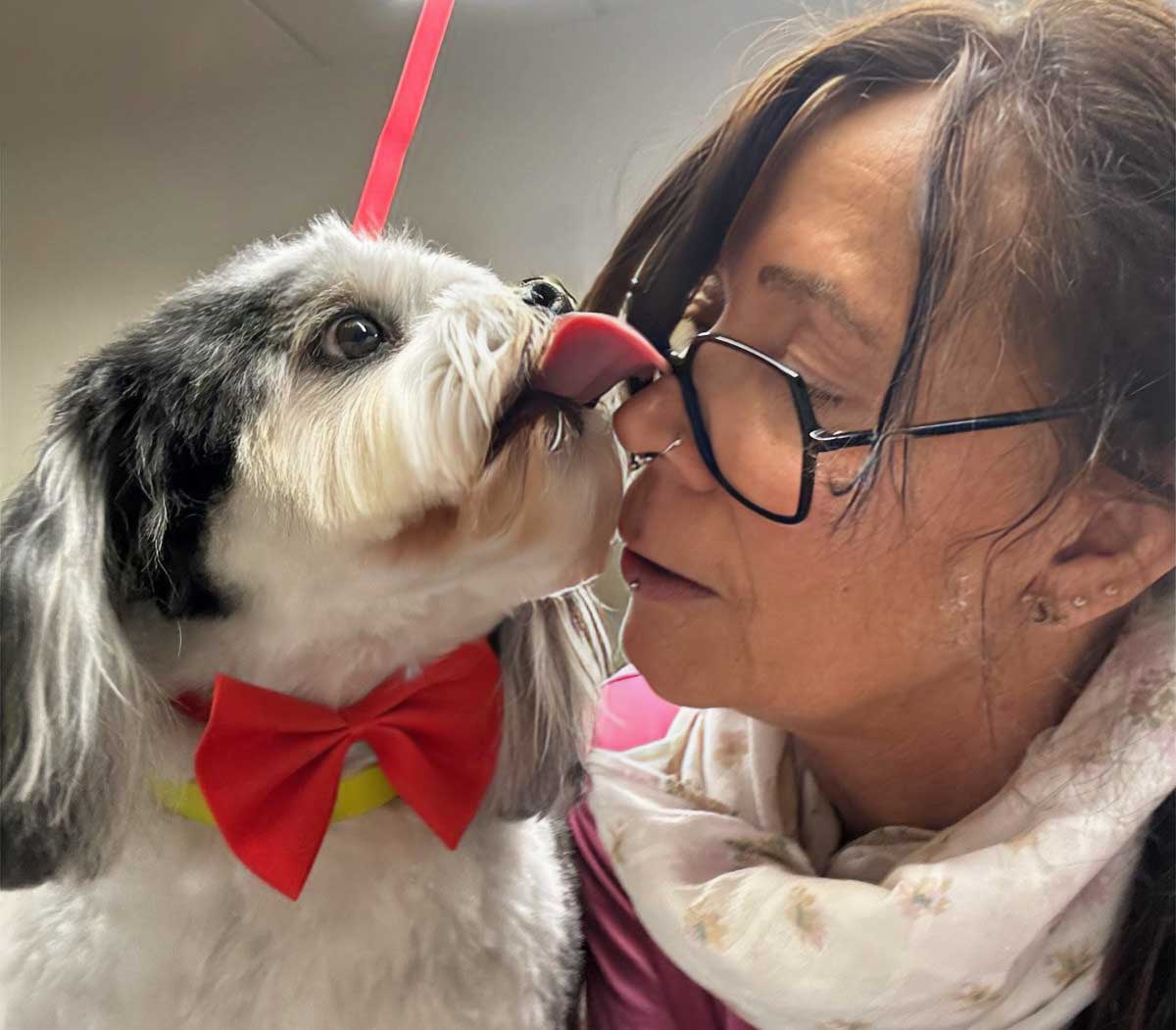 Bine mit Hund – Platzhalter